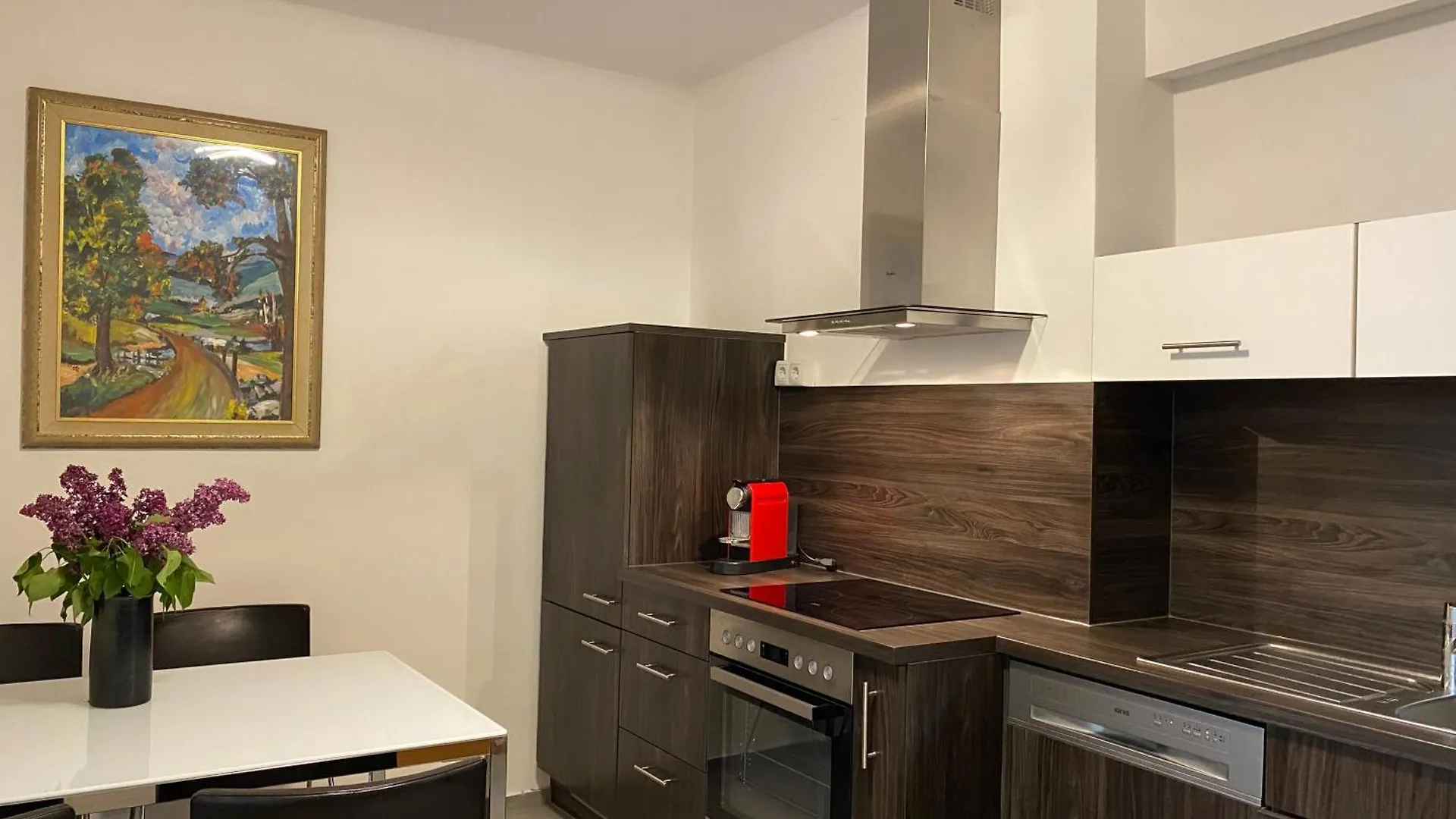Neueroeffnung - Apartment Dietrichsteinplatz - Gratis Tiefgaragenplatz Graz